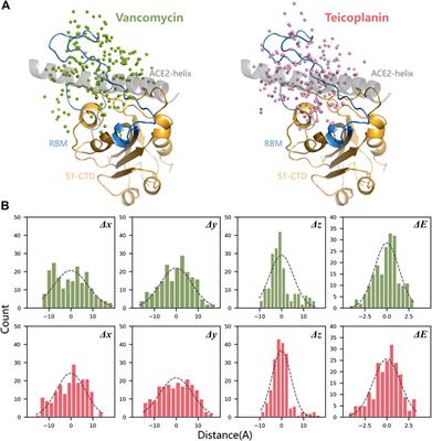 Exploring the Interaction between Vancomycin/Teicoplanin and Receptor Binding Domain (RBD) of SARS-CoV-2